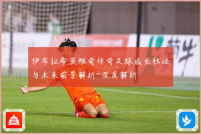 伊布拉希莫维奇传奇足球成长轨迹与未来前景解析-深度解析