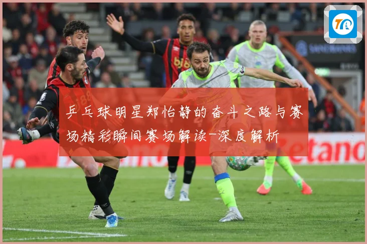 乒乓球明星郑怡静的奋斗之路与赛场精彩瞬间赛场解读-深度解析