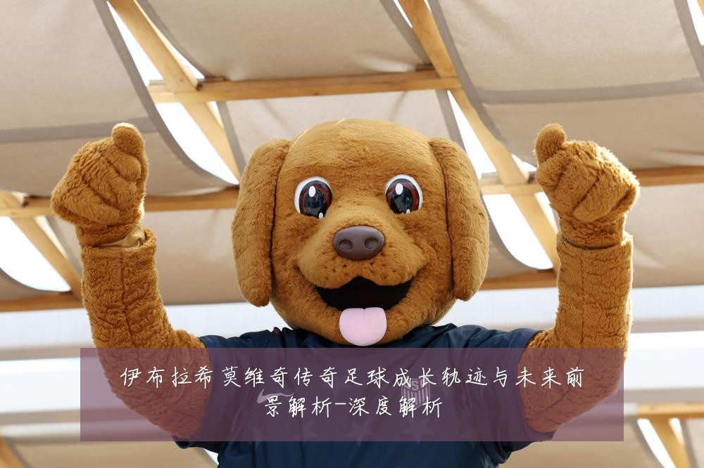 伊布拉希莫维奇传奇足球成长轨迹与未来前景解析-深度解析