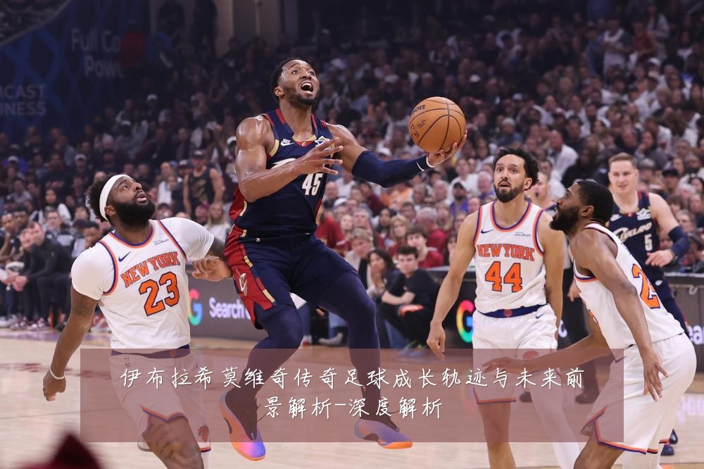 伊布拉希莫维奇传奇足球成长轨迹与未来前景解析-深度解析